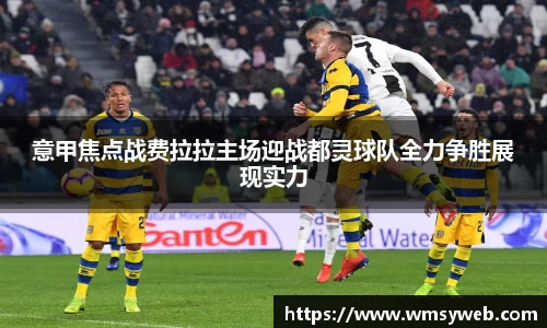 意甲焦点战费拉拉主场迎战都灵球队全力争胜展现实力